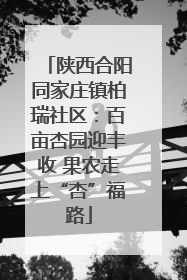 陕西合阳同家庄镇柏瑞社区：百亩杏园迎丰收 果农走上“杏”福路