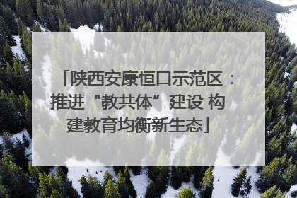 陕西安康恒口示范区：推进“教共体”建设 构建教育均衡新生态