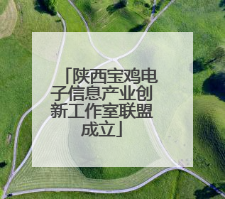 陕西宝鸡电子信息产业创新工作室联盟成立