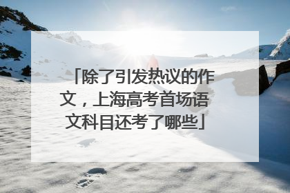 除了引发热议的作文，上海高考首场语文科目还考了哪些