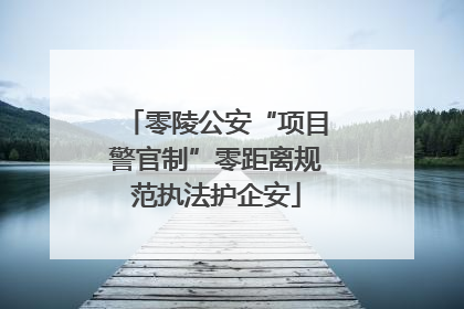 零陵公安“项目警官制”零距离规范执法护企安