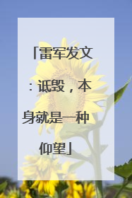 雷军发文：诋毁，本身就是一种仰望