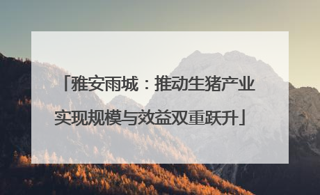 雅安雨城：推动生猪产业实现规模与效益双重跃升