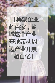 集聚企业超百家，盐城这个产业基地带动周边产业开票超百亿