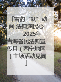 雪豹“跃”动间 法典润民心——2025年青海省民法典宣传月（西宁地区）主场活动见闻