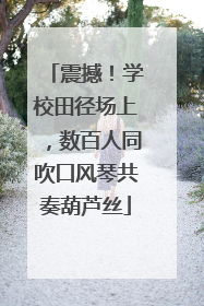 震撼！学校田径场上，数百人同吹口风琴共奏葫芦丝