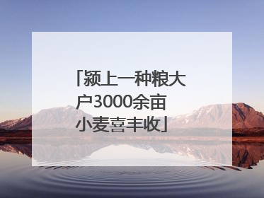 颍上一种粮大户3000余亩小麦喜丰收