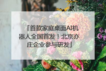 首款家庭桌面AI机器人全国首发！北京亦庄企业参与研发