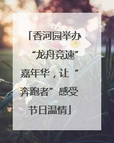 香河园举办“龙舟竞速”嘉年华，让“奔跑者”感受节日温情