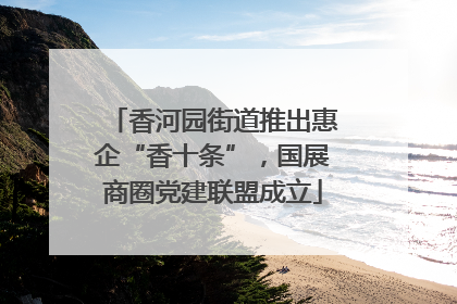 香河园街道推出惠企“香十条”，国展商圈党建联盟成立