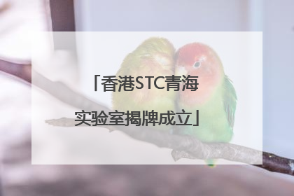 香港STC青海实验室揭牌成立
