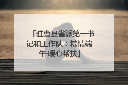 驻曹县省派第一书记和工作队：粽情端午·暖心帮扶
