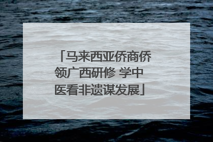 马来西亚侨商侨领广西研修 学中医看非遗谋发展