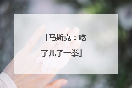 马斯克：吃了儿子一拳