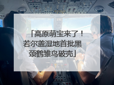 高原萌宝来了！若尔盖湿地首批黑颈鹤雏鸟破壳