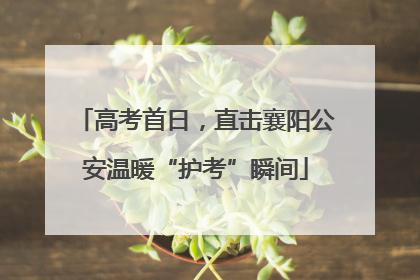 高考首日，直击襄阳公安温暖“护考”瞬间