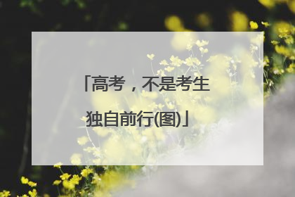 高考，不是考生独自前行(图)