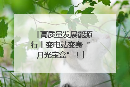 高质量发展能源行丨变电站变身“月光宝盒”！