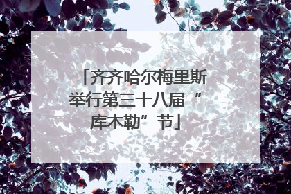 齐齐哈尔梅里斯举行第三十八届“库木勒”节