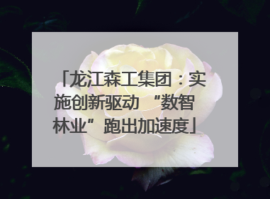 龙江森工集团：实施创新驱动 “数智林业”跑出加速度