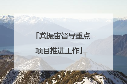 龚振宙督导重点项目推进工作