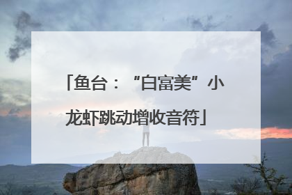 鱼台：“白富美”小龙虾跳动增收音符