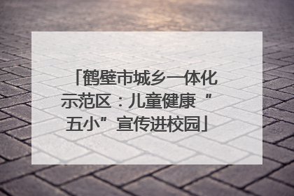 鹤壁市城乡一体化示范区：儿童健康“五小”宣传进校园