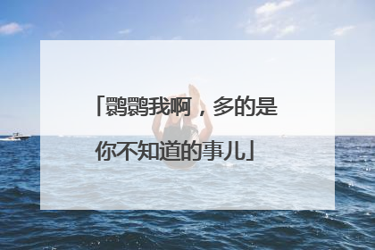 鹮鹮我啊，多的是你不知道的事儿