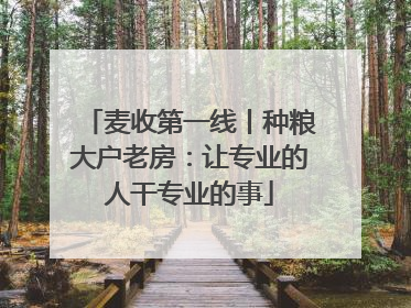 麦收第一线丨种粮大户老房：让专业的人干专业的事