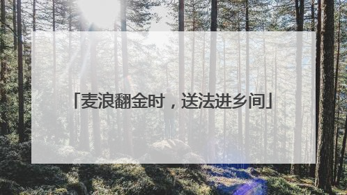 麦浪翻金时，送法进乡间