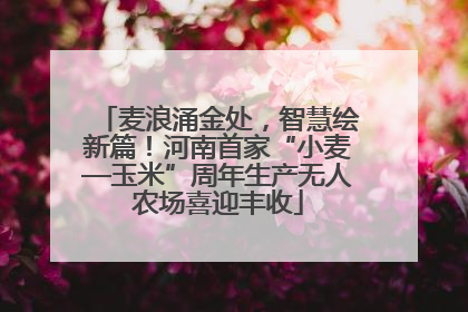 麦浪涌金处，智慧绘新篇！河南首家“小麦—玉米”周年生产无人农场喜迎丰收