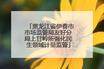 黑龙江省伊春市市场监管局友好分局上甘岭所强化民生领域计量监管