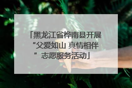 黑龙江省桦南县开展“父爱如山 真情相伴”志愿服务活动