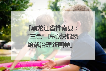 黑龙江省桦南县：“三色”匠心织锦绣 绘就治理新画卷