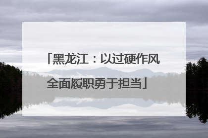 黑龙江：以过硬作风全面履职勇于担当