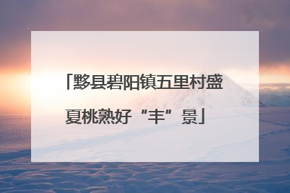黟县碧阳镇五里村盛夏桃熟好“丰”景