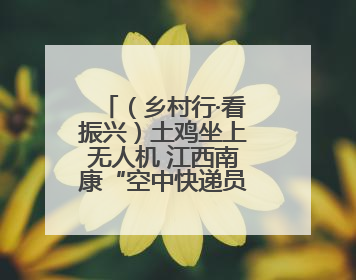 （乡村行·看振兴）土鸡坐上无人机 江西南康“空中快递员”助振兴