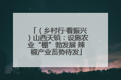 （乡村行·看振兴）山西天镇：设施农业“棚”勃发展 辣椒产业蓄势待发