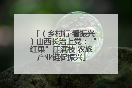 （乡村行·看振兴）山西长治上党：“红果”压满枝 农旅产业链促振兴