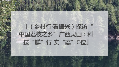 （乡村行·看振兴）探访“中国荔枝之乡”广西灵山：科技“鲜”行 实“荔”C位