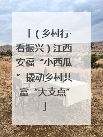 （乡村行·看振兴）江西安福“小西瓜”撬动乡村共富“大支点”