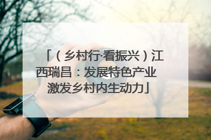 （乡村行·看振兴）江西瑞昌：发展特色产业 激发乡村内生动力