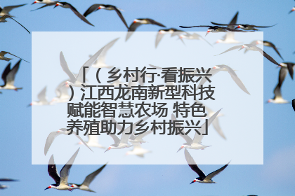 （乡村行·看振兴）江西龙南新型科技赋能智慧农场 特色养殖助力乡村振兴
