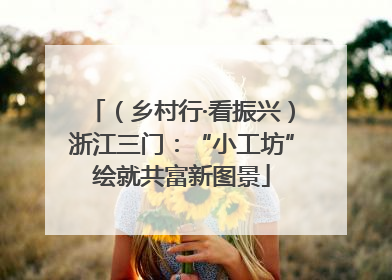 （乡村行·看振兴）浙江三门：“小工坊”绘就共富新图景