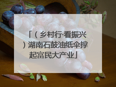 （乡村行·看振兴）湖南石鼓油纸伞撑起富民大产业