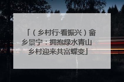（乡村行·看振兴）畲乡景宁：拥抱绿水青山 乡村迎来共富蝶变