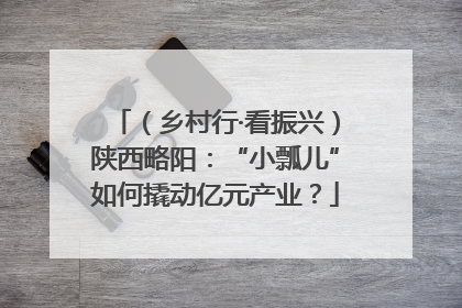 （乡村行·看振兴）陕西略阳：“小瓢儿”如何撬动亿元产业？
