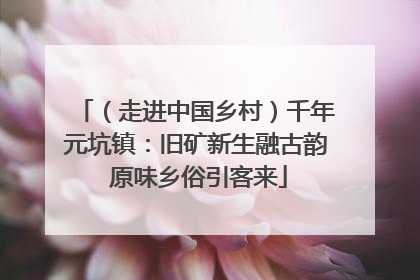 （走进中国乡村）千年元坑镇：旧矿新生融古韵 原味乡俗引客来
