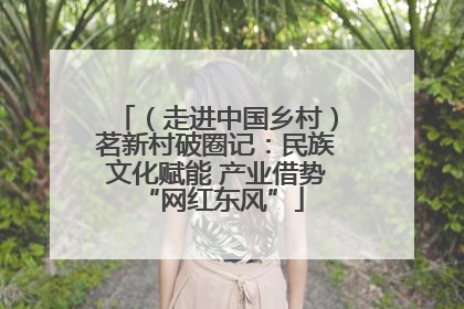 （走进中国乡村）茗新村破圈记：民族文化赋能 产业借势 “网红东风”