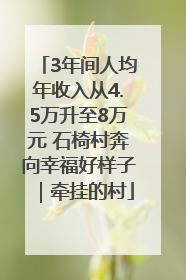 3年间人均年收入从4.5万升至8万元 石椅村奔向幸福好样子｜牵挂的村